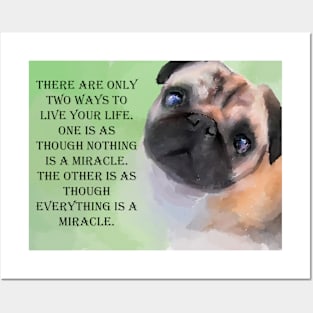 life pug Posters and Art